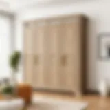 Elegant five-door wardrobe showcasing modern design