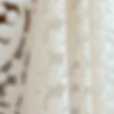 Close-up of delicate lace tulle fabric