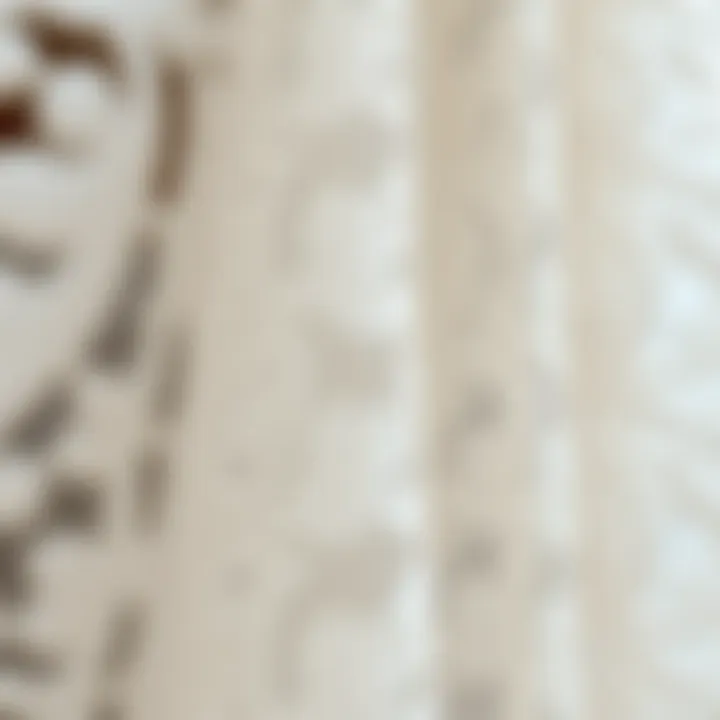 Close-up of delicate lace tulle fabric