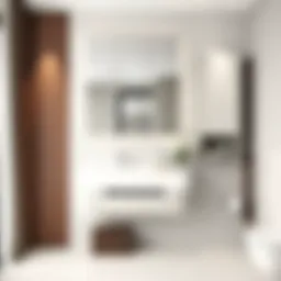 Elegant mirrored bathroom cabinet showcasing modern design