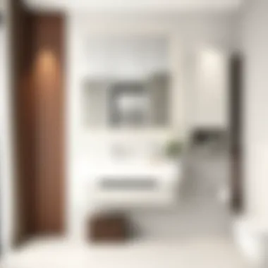 Elegant mirrored bathroom cabinet showcasing modern design