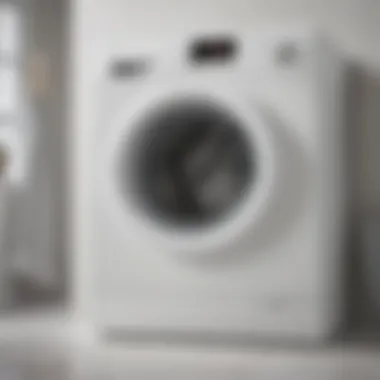Ideal Temperature for Washing Temperature settings on a washing machine