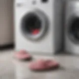 Washing machine with slippers inside