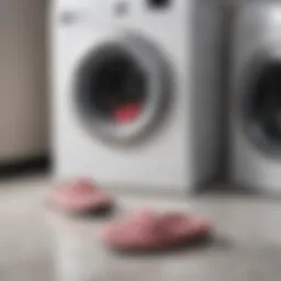 Washing machine with slippers inside