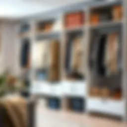 Organized closet showcasing a variety of clothing styles and colors