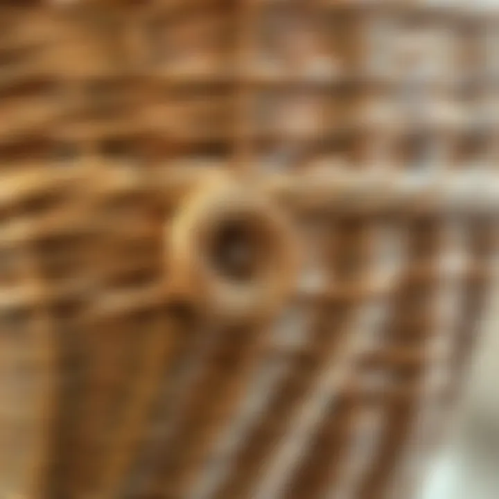 Close-up image of the intricate details of a wicker basket, emphasizing material quality and design.