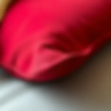 Close-up of red cushion fabric showcasing texture and quality