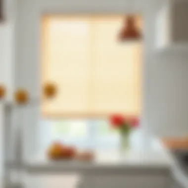 Maintenance tips for kitchen roller blinds