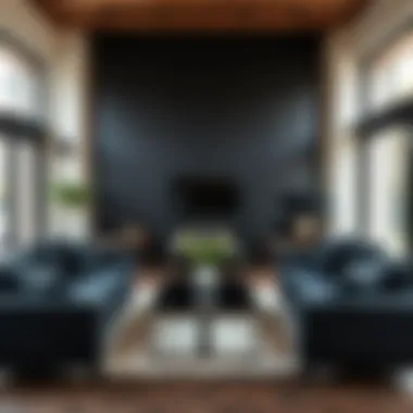 Contemporary matte black furniture set in a cozy room