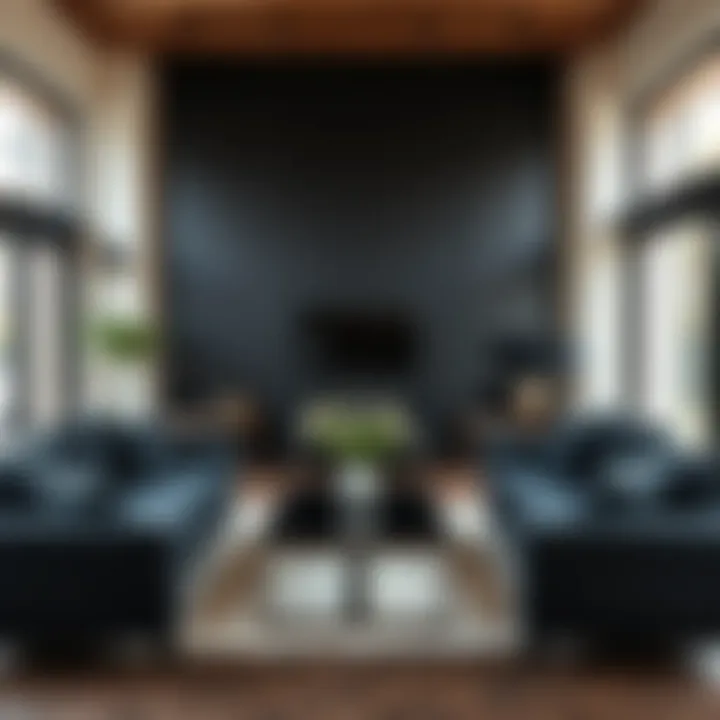 Contemporary matte black furniture set in a cozy room