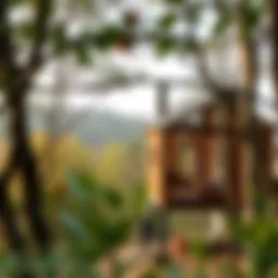 A stunning mini house nestled in nature, showcasing sustainable living.