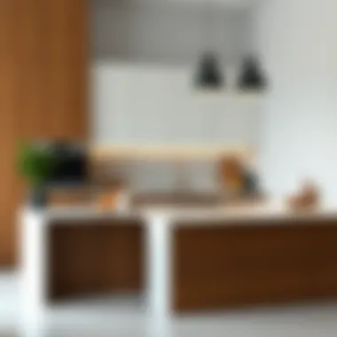 Elegant portable kitchen countertop design