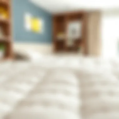 Quality materials used in children's bed bases