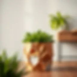 Innovative planter created from recycled materials