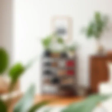 Stylish shoe rack decor with plants and art