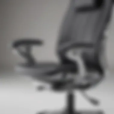 Close-up of ergonomic features in a back mechanism chair