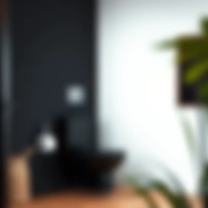 Maintenance tips for black wall-hung toilets in an informative layout