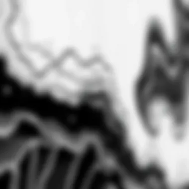 A close-up of intricate black and white artwork emphasizing texture and detail