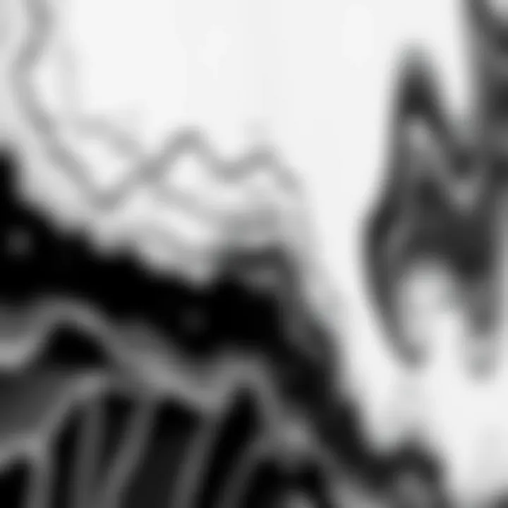 A close-up of intricate black and white artwork emphasizing texture and detail