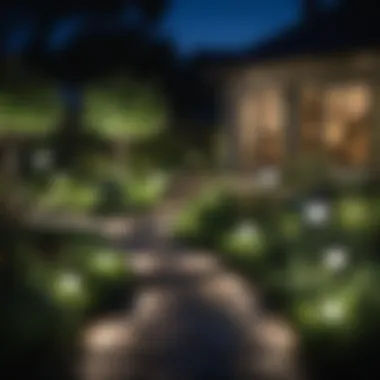 A beautifully lit garden at night showcasing solar lights