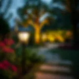 Solar-powered garden lighting illuminating a lush garden at dusk