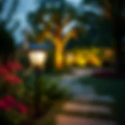 Solar-powered garden lighting illuminating a lush garden at dusk