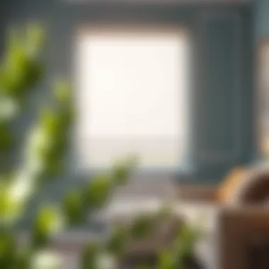 Color palette options for kitchen roller blinds