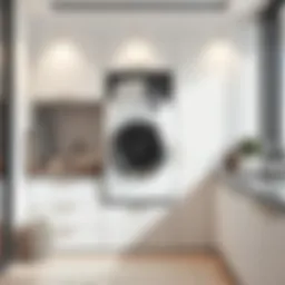 Stylish laundry machine cabinet in a modern interior