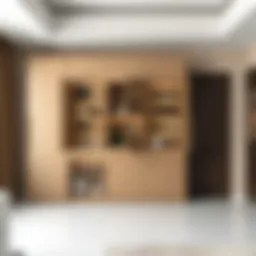 Elegant telescopic pantry cabinet showcasing its sleek design