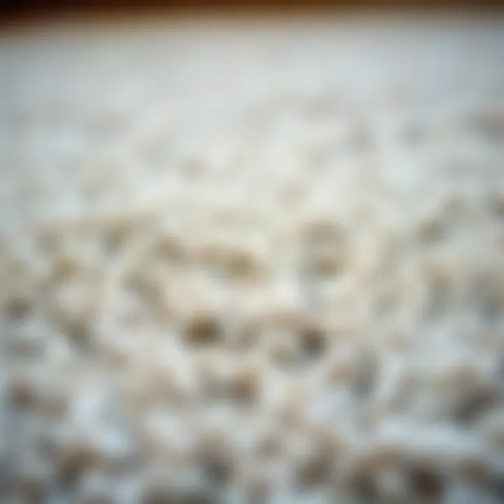 A close-up of textured rug material highlighting its quality